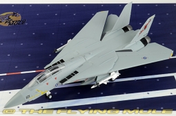 F-14B Tomcat Display Model, USN VF-74 Be-Devilers, AA101, USS Saratoga, 1992