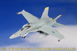 F/A-18C Hornet Diecast Model, USN VFA-192 Golden Dragons, NF300, CAG, USS