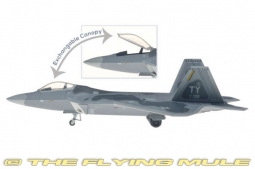 F-22A Raptor Diecast Model, USAF 325th FW, 43rd FS Hornets, #01-4018, Tyndall