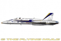 F/A-18C Hornet Diecast Model, USN VFA-106 Gladiators, F/A-18 Hornet 30th - DEC PRE-ORDER