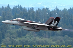 F/A-18E Super Hornet Diecast Model, USN VX-9 Vampires, XE111, NAWS China Lake, CA - JAN PRE-ORDER