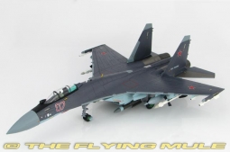 Su-35S Flanker-E Diecast Model, Russian Air Force, Red 07, Paris, France, Paris