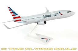 737-800 Display Model, American Airlines, 2013