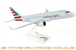 ERJ 145 Display Model, American Eagle