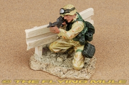 Figure, USMC, PFC Miller, Baghdad, Iraq, Operation Iraqi